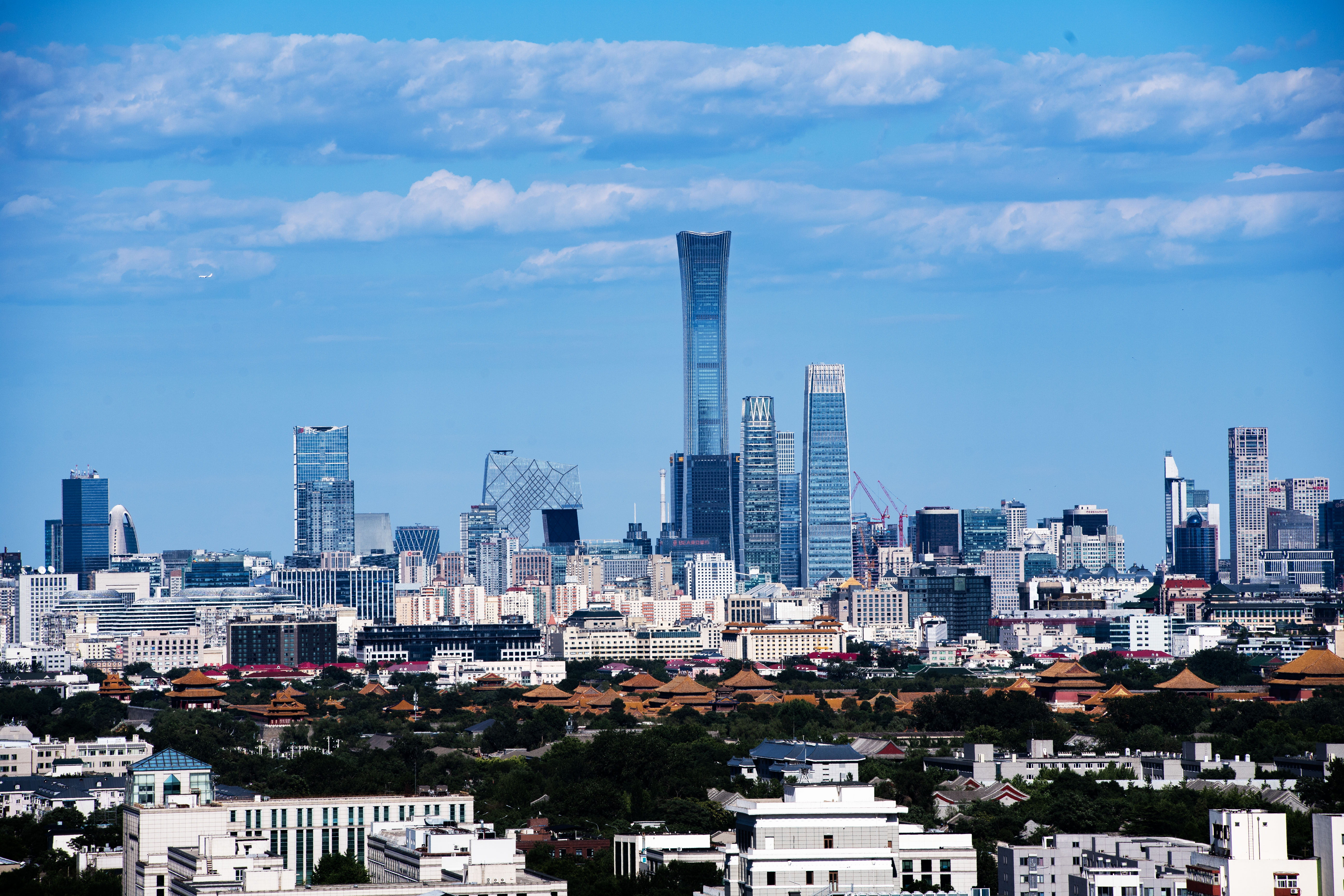 1765503946492434.jpg 3.jpg